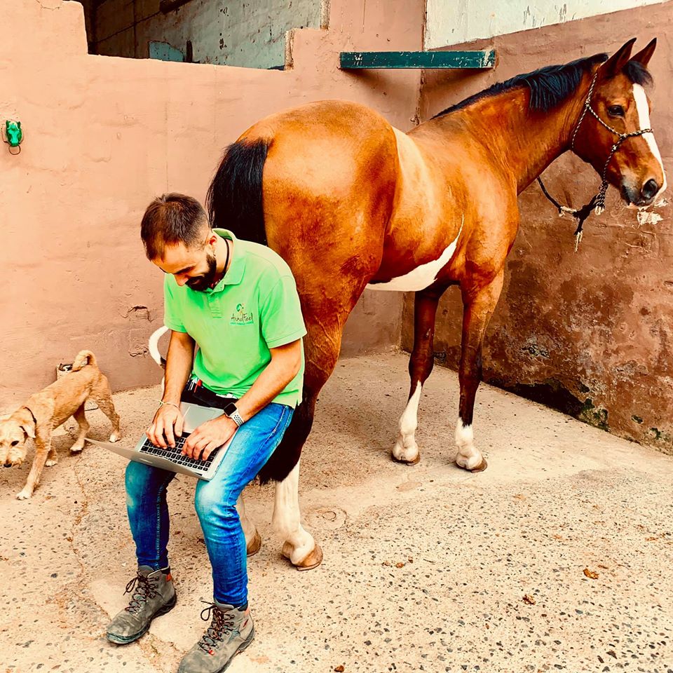 Pablo Almodovar AnimalFeel con caballo